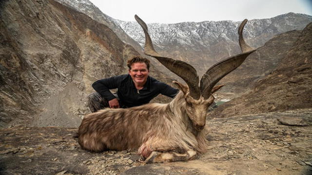 Cazador pagó 110 mil dólares para matar una majestuosa cabra del Himalaya [VIDEO]