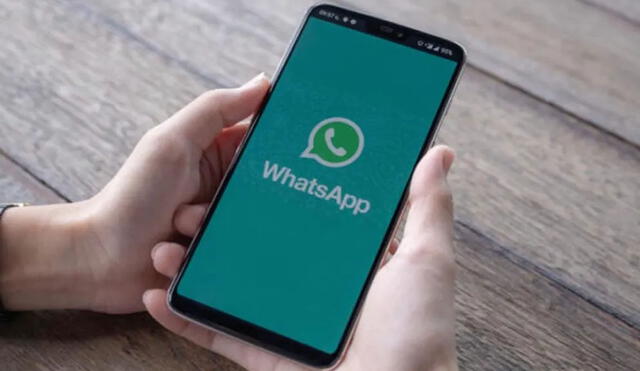Estas nuevas funciones de WhatsApp llegarán a iOS y Android. Foto: ProAndroid