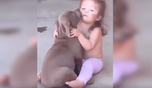 Desliza las imágenes hacia la izquierda para apreciar la sentimental escena entre una niña junto a su perro.
