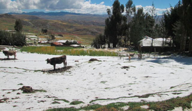 Senamhi pronostica lluvias y granizada en Arequipa 