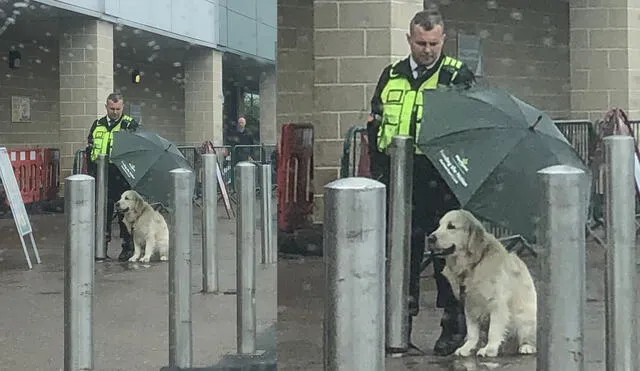 Trabajador de seguridad resguarda a un perrito de la lluvia y se hace viral: “Héroe sin capa”