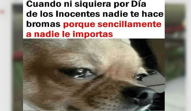 Día de los Inocentes: En Facebook se viralizaron graciosos memes y aquí te dejamos los mejores [FOTOS]