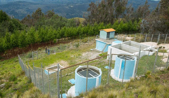 Cajamarca: Yanacocha mejora sistema de agua potable en Huambocancha Baja