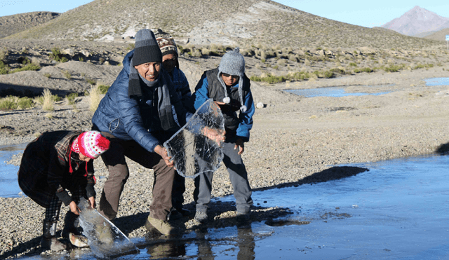 Temperatura descenderá hasta - 20°C en el sur del país