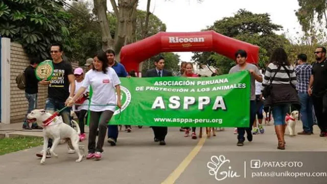 ASPPA busca recaudar fondos para crear el Primer Hospital de Campaña Veterinario 