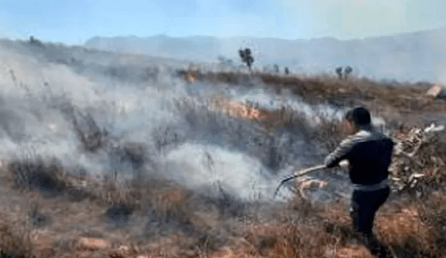 Incendio forestal viene afectado cultivos en Cajamarca. Foto: Andina