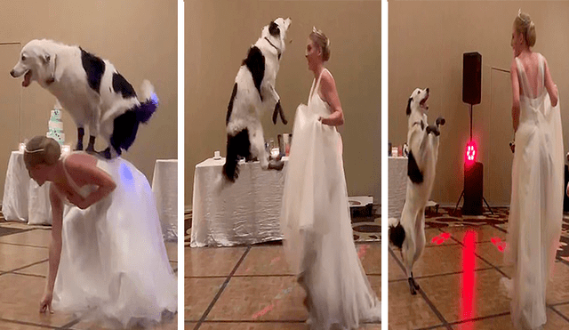 En Facebook, una chica sorprendió a los invitados de su boda tras realizar una increíble coreografía con su perro.