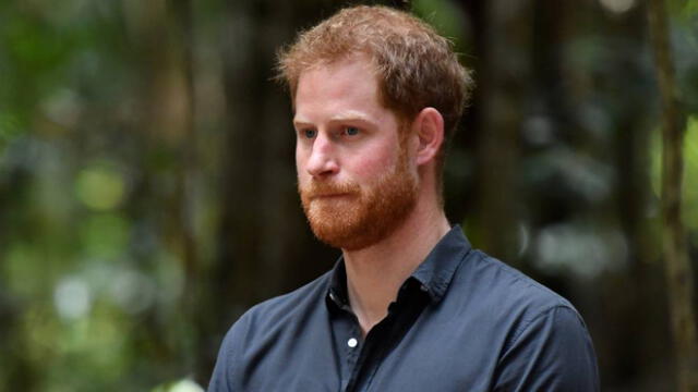 El duque expresó que su hijo no crecería dentro de la familia real (Foto: AFP)