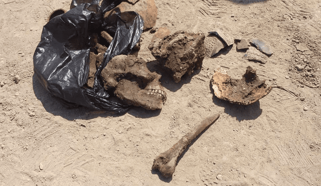 Lambayeque: encuentran restos óseos durante excavación para instalar desagüe [FOTOGALERÍA]