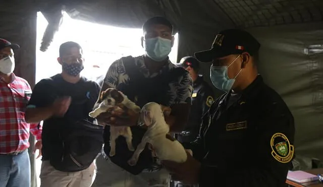 Mascotas fueron rescatas y los responsables sancionados. Foto: Edwar Díaz/ Facebook