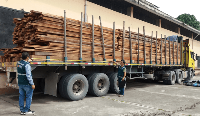 Cajamarca: Serfor decomisa tablares de madera 