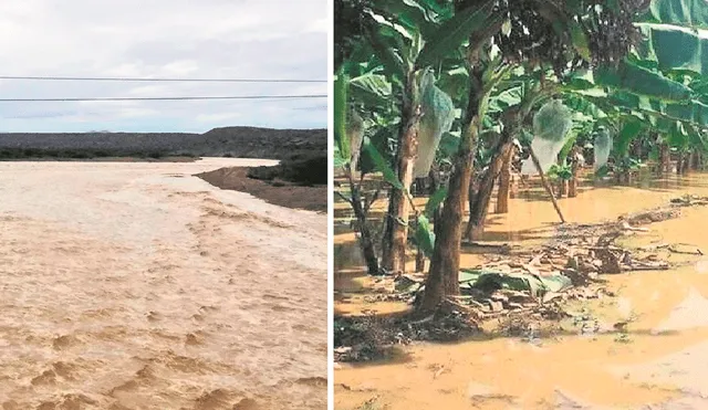 Río Tumbes se desborda e inunda cultivos y viviendas