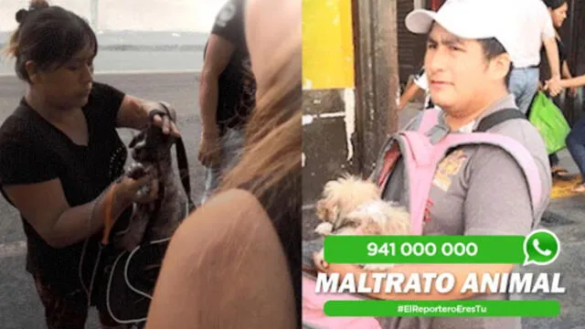 Reportero Ciudadano: Maltrato animal, sujetos venden mascotas escondidas en mochilas y cajas 