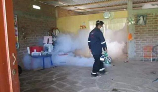 Fumigarán más de 4 mil casas en Sullana por temor al dengue