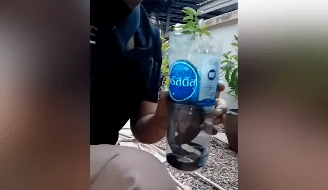 Chico intenta meter peligrosa serpiente en botella de plástico, sin imaginar lo que pasaría [VIDEO]