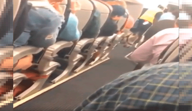Menudo animal tiene la autorización de viajar junto a los pasajeros en avión y causa furor [VIDEO]