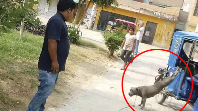 Maltrato animal: hombre ata patas traseras de mascota a mototaxi en Chiclayo