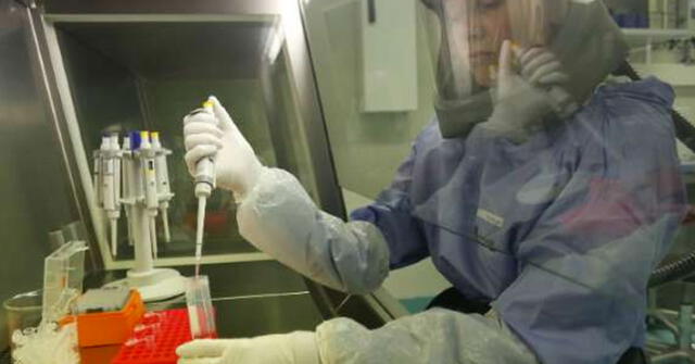 El primer registro de esta nueva enfermedad fue reportado en la ciudad de Reynosa. Los doctores creen que el paciente llegó con el virus luego de un viaje a China.