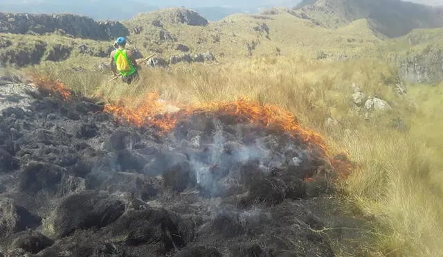 Apurímac: Voraz incendio consume Santuario Nacional de Ampay
