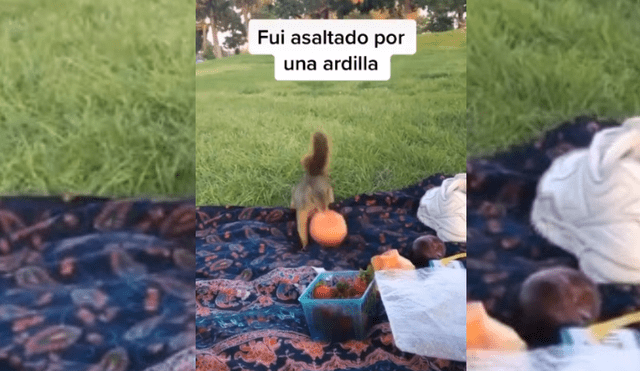 Video es viral en TikTok. El hombre estaba disfrutando de un soleado día acostado sobre el pasto, cuando una ardilla se acercó sigilosamente hacia su comida.