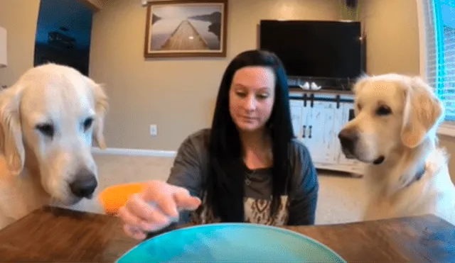 Facebook viral: mujer ‘trolea’ a sus perros con comida ‘invisible’ y estos tiene peculiar reacción al descubrir el engaño