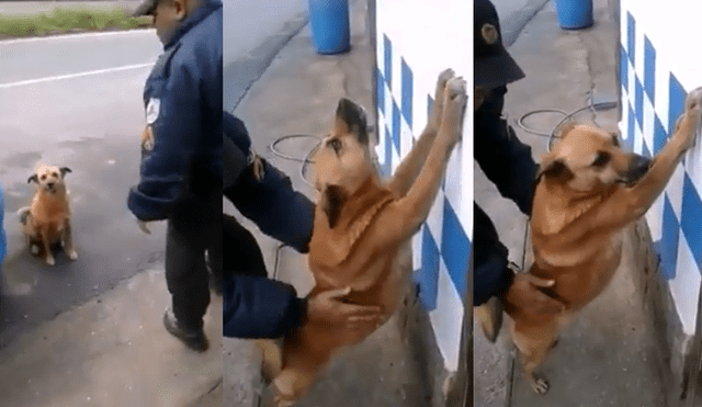 Facebook Viral: Policía inspecciona a perro como si fuera delincuente [VIDEO]