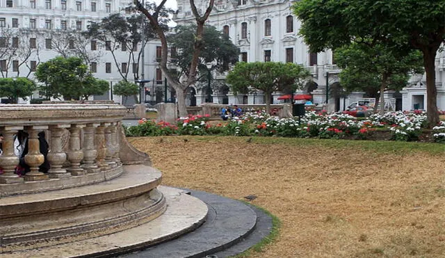 Plaza San Martín sufrió daños en sus áreas verdes durante huelga