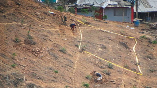 Lomas de VMT: traficantes de terrenos asesinan vizcachas [FOTOS]