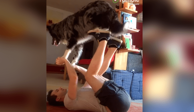 Video es viral en TikTok. El can sorprendió a todos al obedecer las órdenes de su dueño para que pueda cumplir su rutina de ejercicios. Fotocaptura: YouTube
