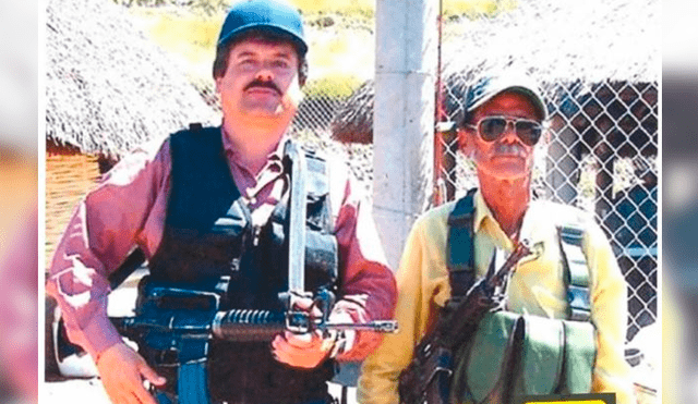 “El Chapo” comenzó su vida delictiva en el cultivo de marihuana, trabajó como chofer para Félix Gallardo, y luego habría liderado la banda “Los Dormidos”. Foto: AFP