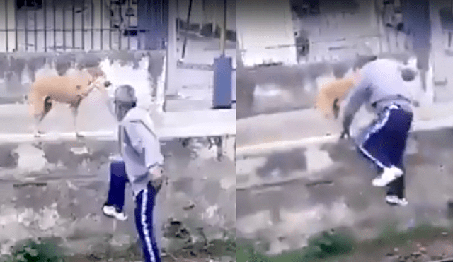 Facebook: anciano ebrio quiere subir a muro, le pide ayuda a su perro y todo acaba mal [VIDEO] 