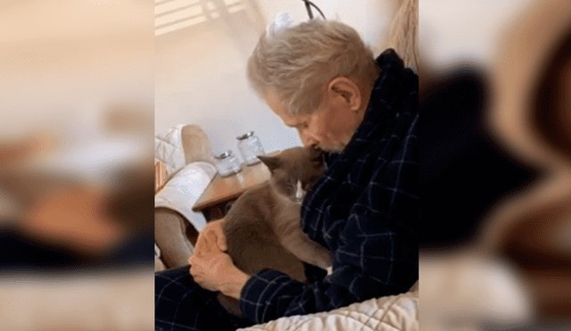 Desliza las imágenes para observar el tierno momento que protagonizó un anciano junto a un gato que lo cuidaba.