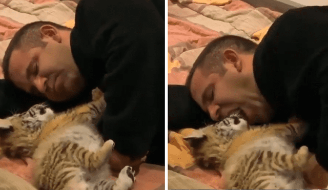 Desliza hacia la izquierda para ver la tierna escena de YouTube de un cuidador de felinos con un tigre bebé.