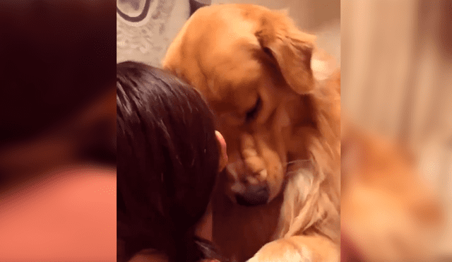 En Facebook, un perro se acercó a su dueña para darle unas amorosas caricias y alegrar su día.