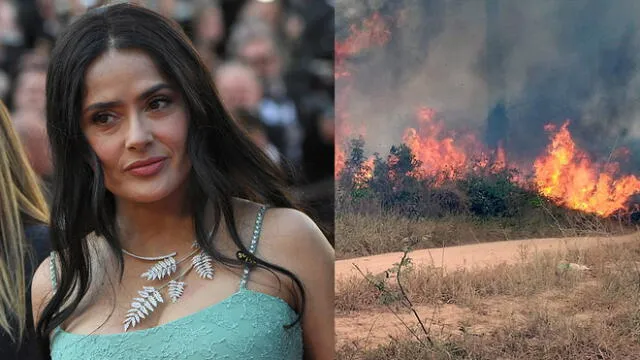 Salma Hayek sobre incendio en la Amazonía: “Participo en la reforestación”