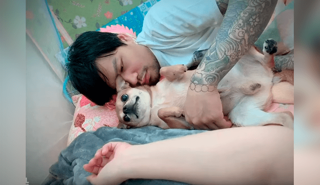 Video es viral en YouTube. Mujer grabó el agresivo comportamiento del perro cada vez que su esposo intentaba tocarla mientras dormía con los dos