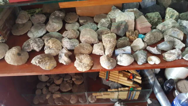Recuperan piezas de fósiles tras operativo en Pueblo Libre.