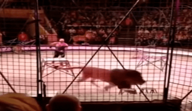 YouTube viral: Descontrolado león ataca a domador en circo y termina de esta manera [VIDEO]