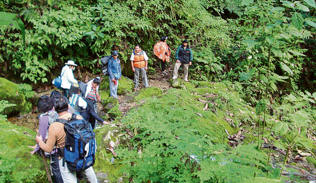 Ley que amenaza  selva de Ucayali  se aprobó sin opiniones técnicas