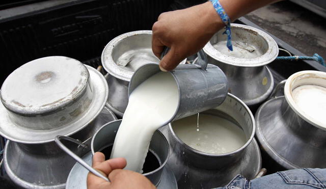 Más de 300 toneladas de leche al día se estarían perdiendo por paro de transportistas
