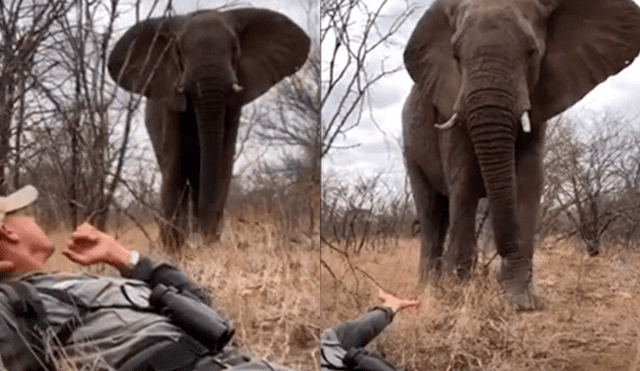 YouTube viral: hombre tiene increíble encuentro con elefante salvaje y final sorprende a miles [VIDEO]