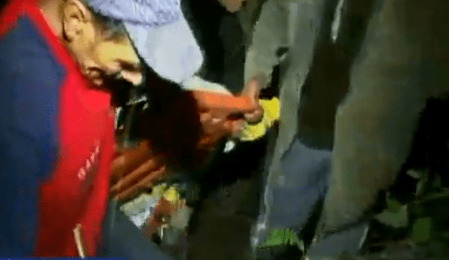 Tingo María: Al menos 7 muertos y más de 40 heridos tras caída de bus [VIDEO]