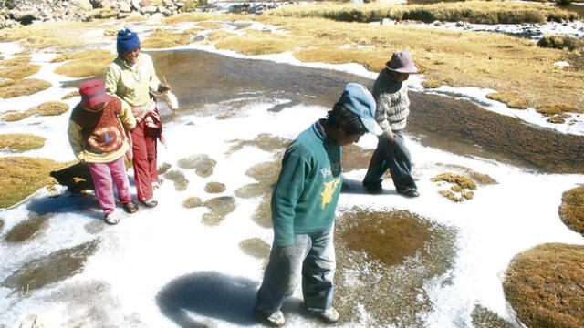 Senamhi pronostica frío y caída de heladas en Puno 