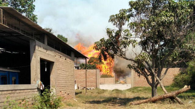 Incendio forestal en Chaclacayo afecta viviendas aledañas [VIDEO]
