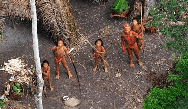 Brasil: Fiscalía investigará sobre masacre de una tribu del Amazonas 