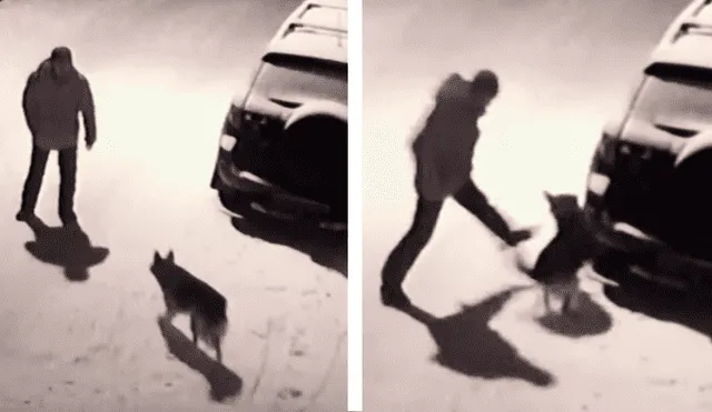YouTube viral: hombre ebrio agredió a indefenso perro y karma le dio un terrible merecido [VIDEO]
