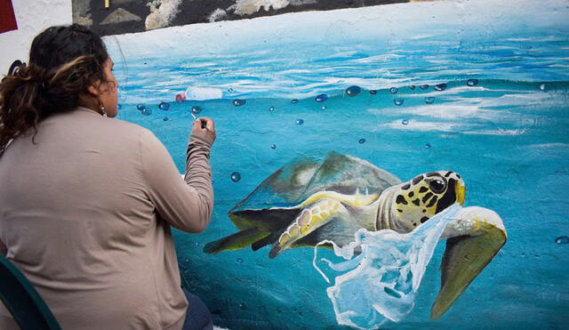 Murales con mensajes medio ambientales adornan el centro de Arequipa | FOTOGALERIA