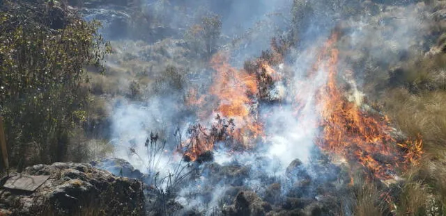 Controlan incendios forestales en Áncash. Foto: Andina.
