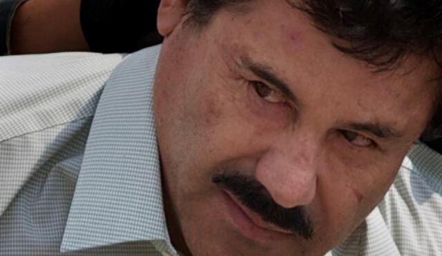 Abogada del 'Chapo' Guzmán sostiene que la extradición es "ilegal y lo beneficia"