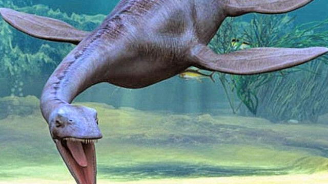 Fósil prehistórico de reptil marino que fue hallado en Lima será puesto en exposición